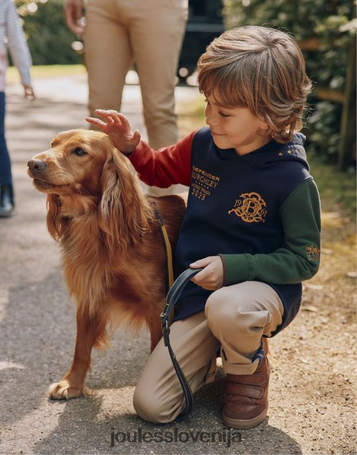 Joules oblačila fantje unisex pulover s kapuco burghley 2-12 let NFBJ4H316 francoska mornarica